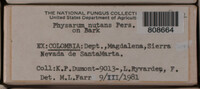 Image Associated With the Occurence